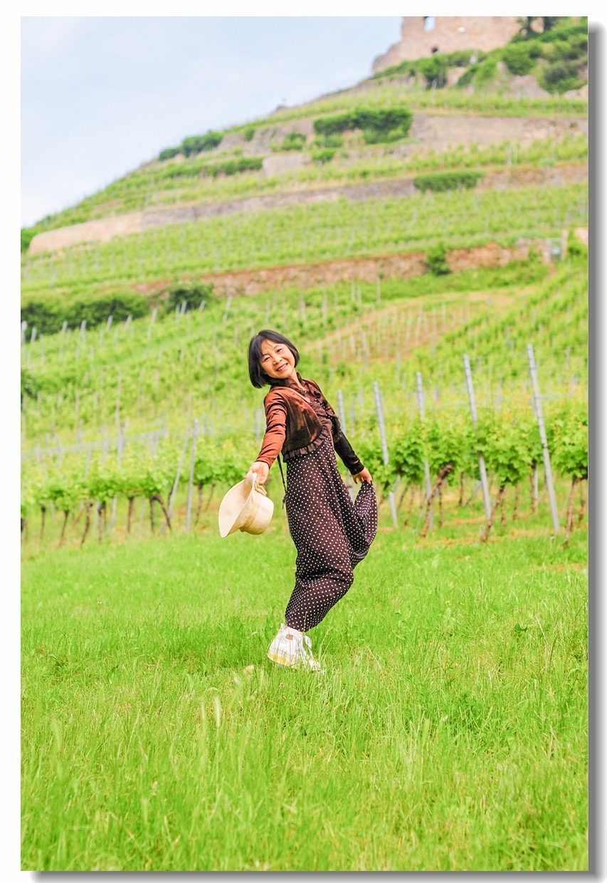 酒山写影(南德)