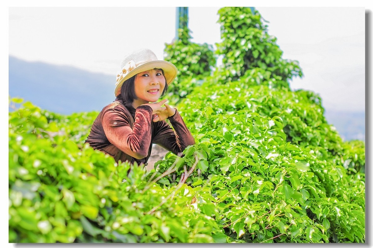 酒山写影(南德)