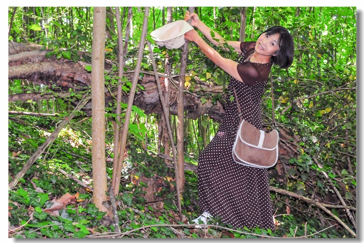 酒山写影(南德)