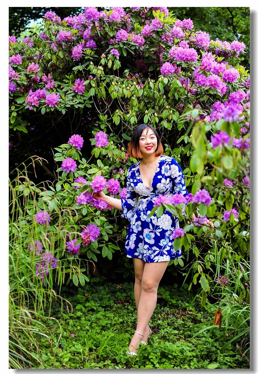 湖滨花摄（德国弗莱堡）