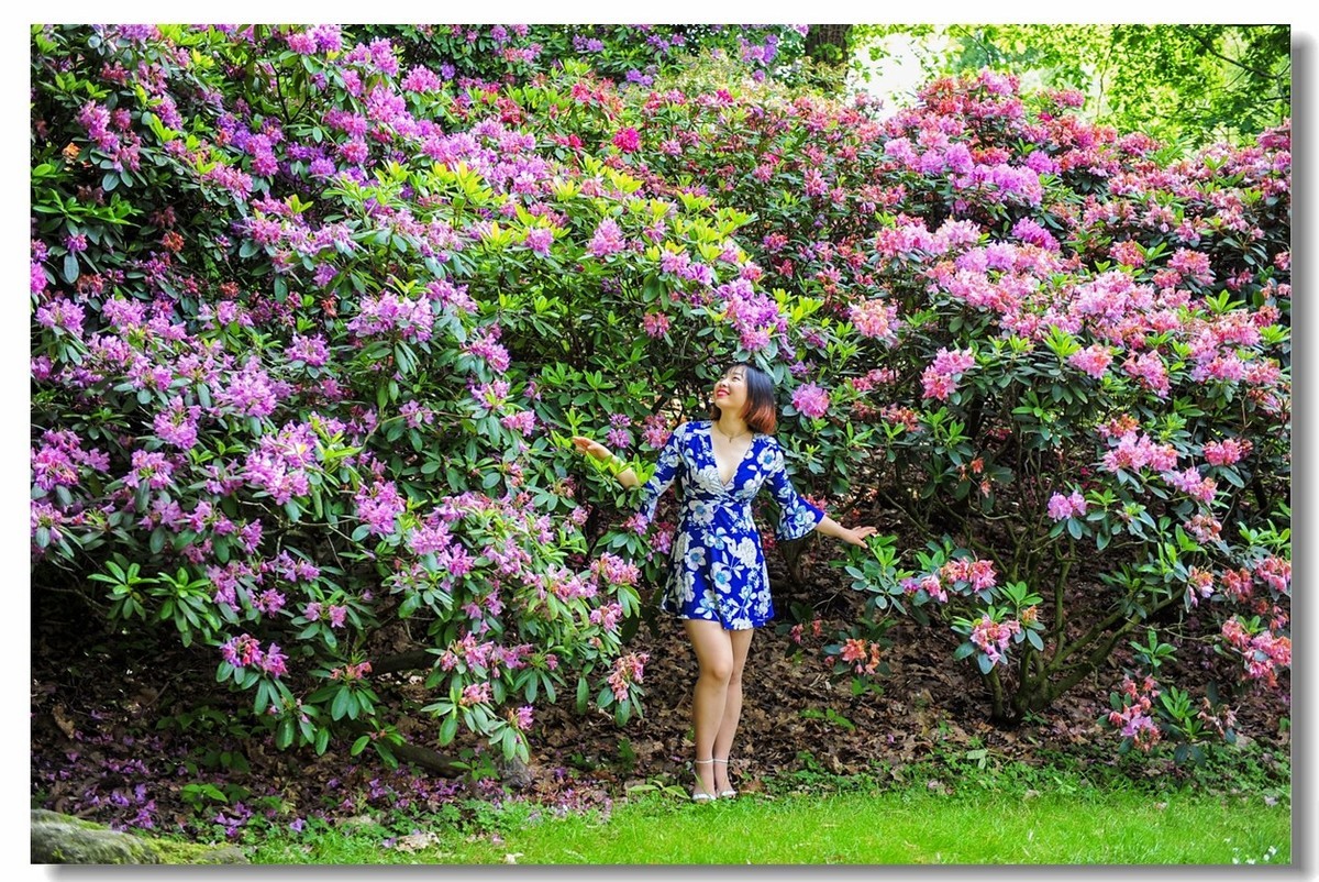 湖滨花摄（德国弗莱堡）