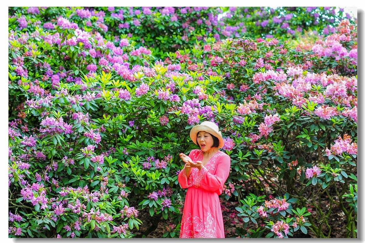 湖滨花摄（德国弗莱堡）