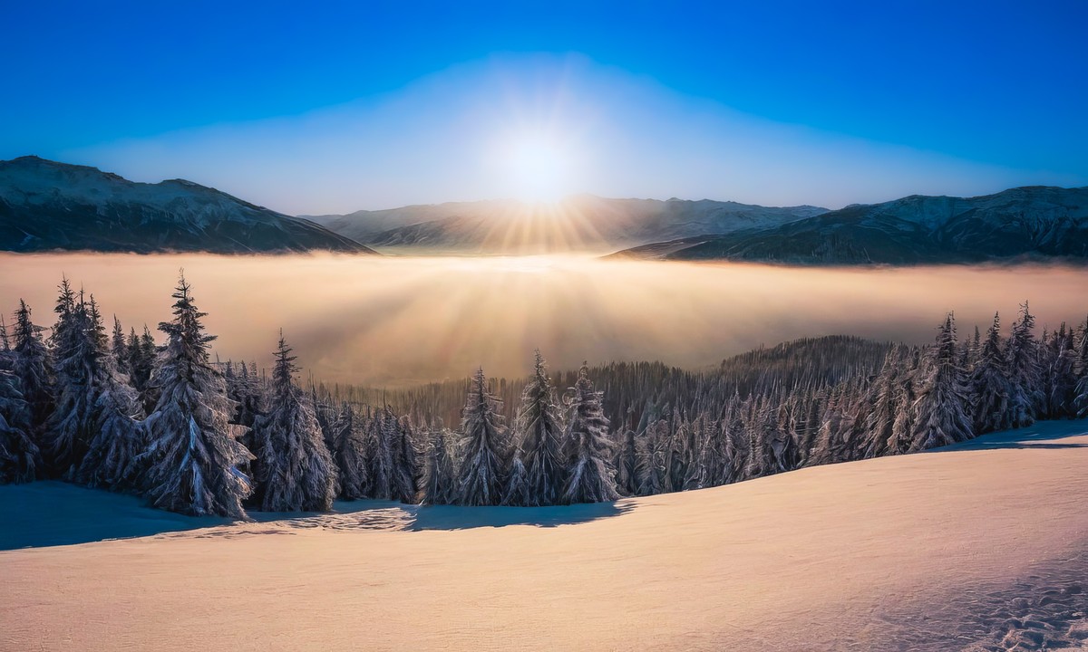 心灵与自然的拥抱