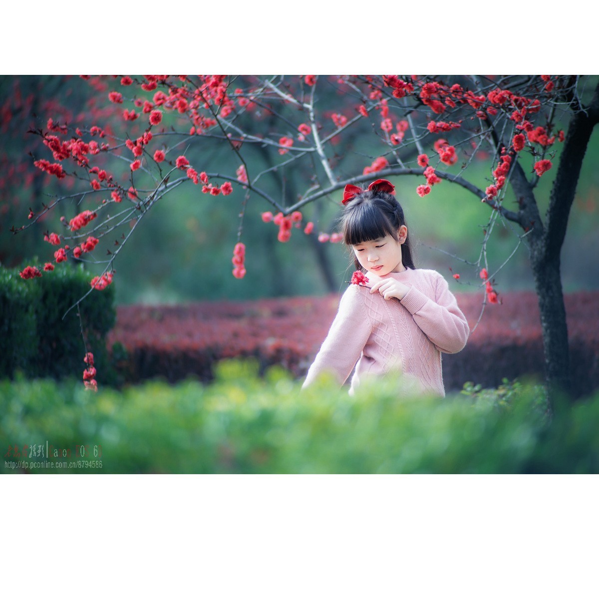 春天里的小天使