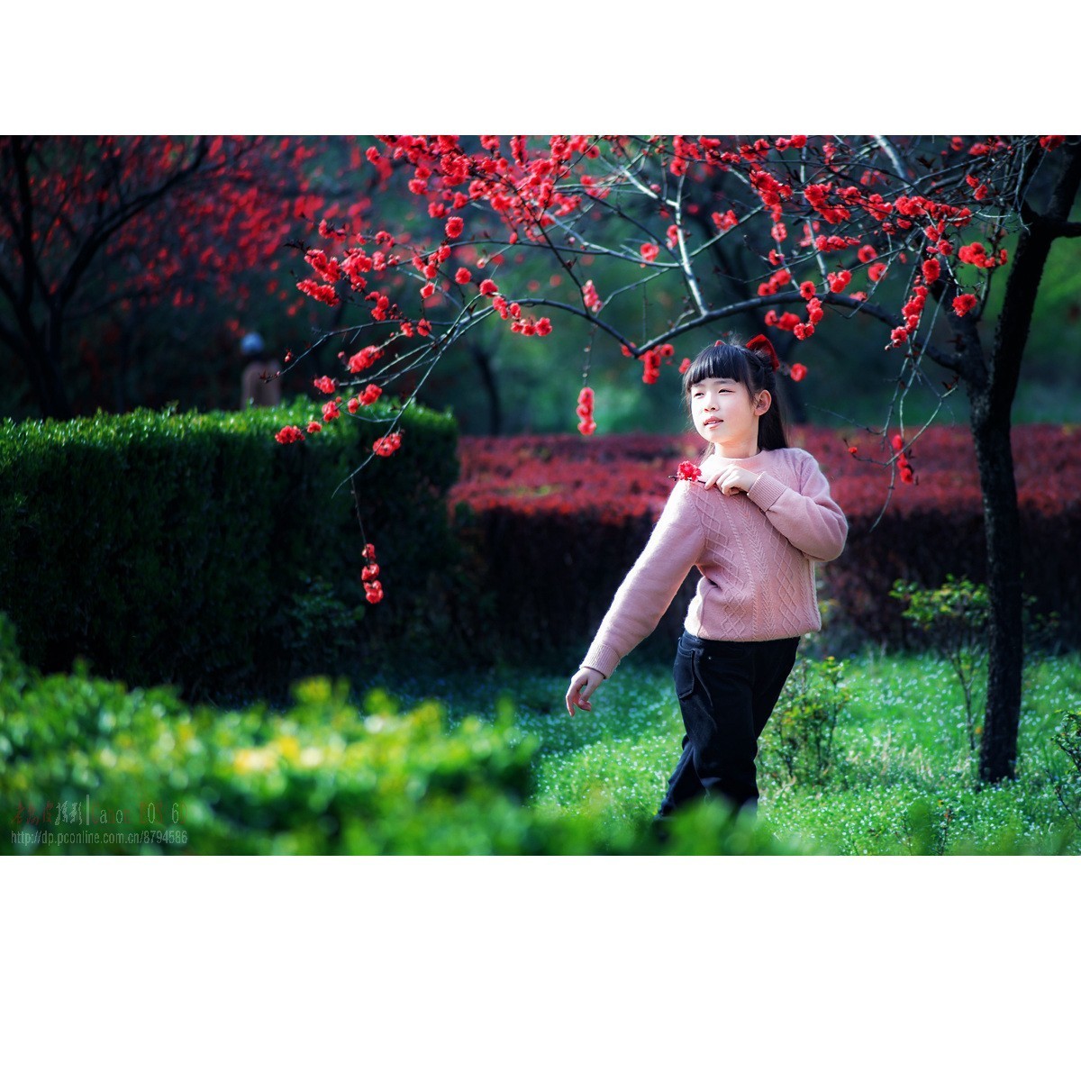 春天里的小天使