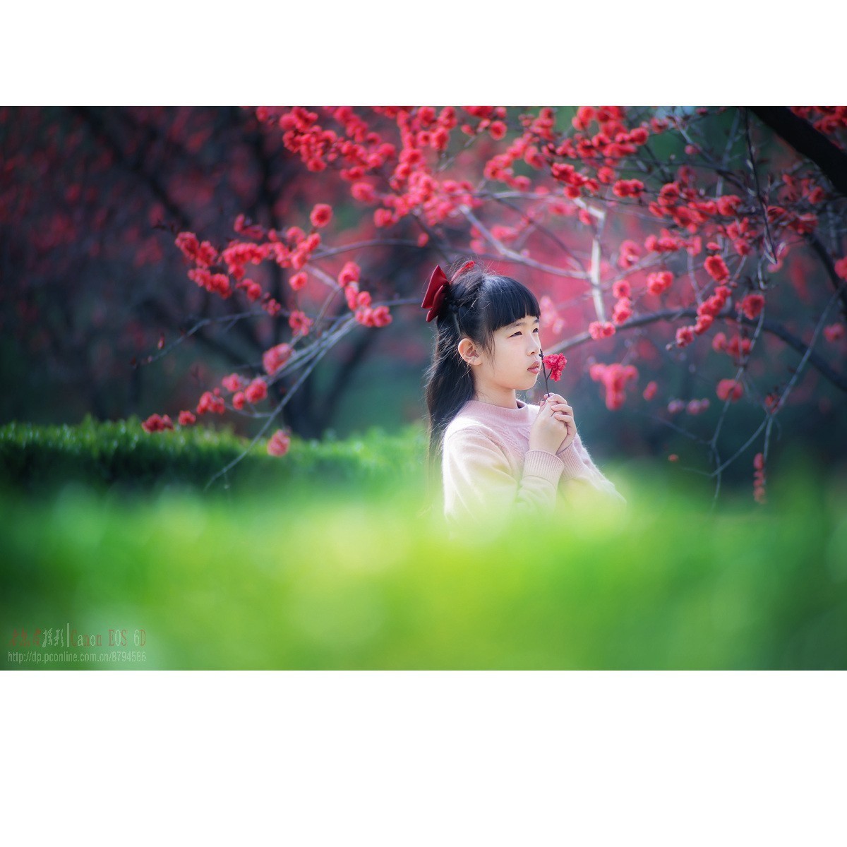 春天里的小天使