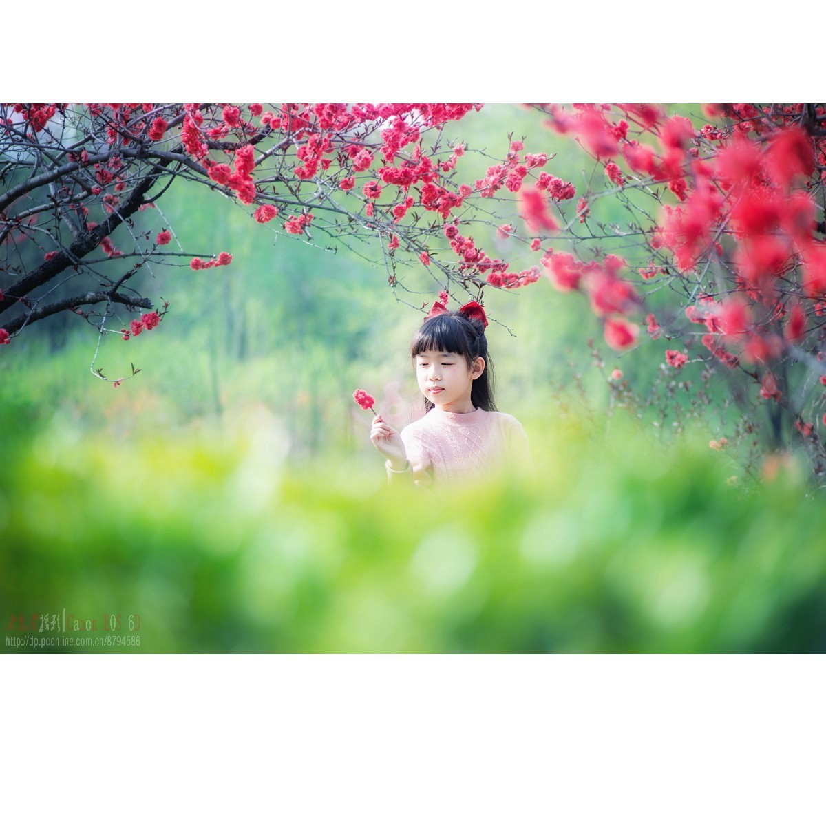 春天里的小天使