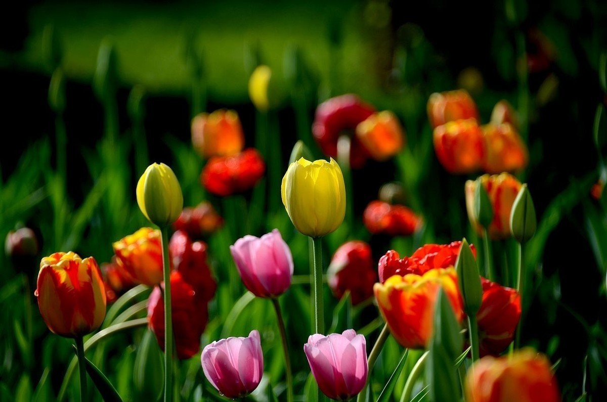 #版主坐堂#小五星空(中国)2022年4月精品荟萃