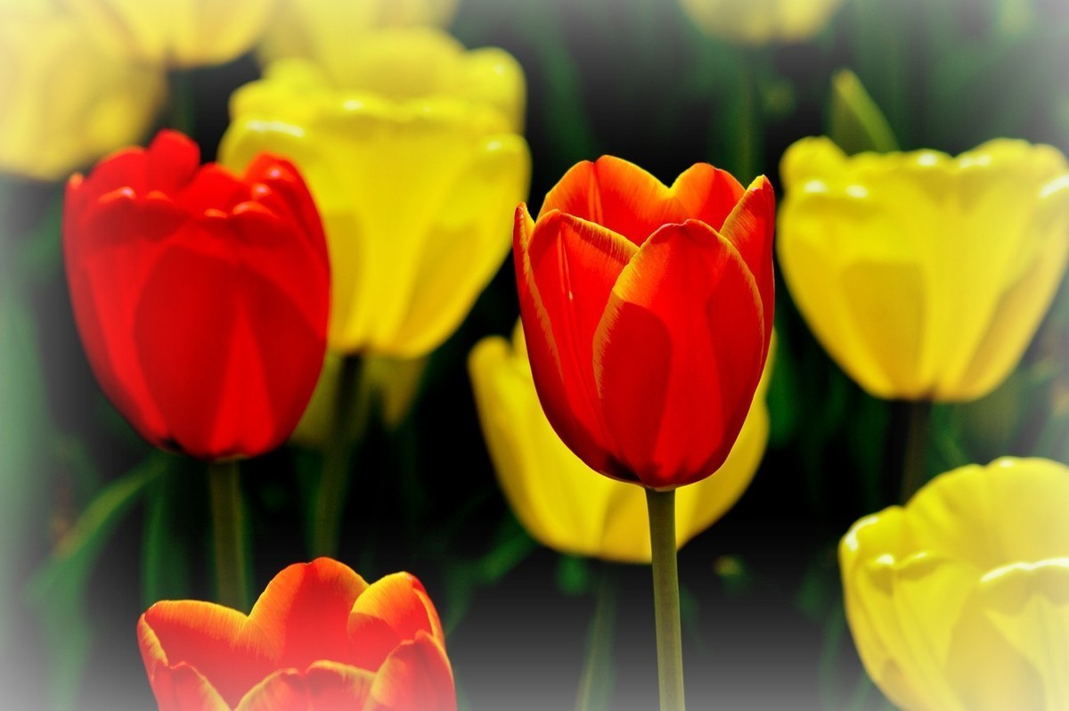 #版主坐堂#小五星空(中国)2022年4月精品荟萃