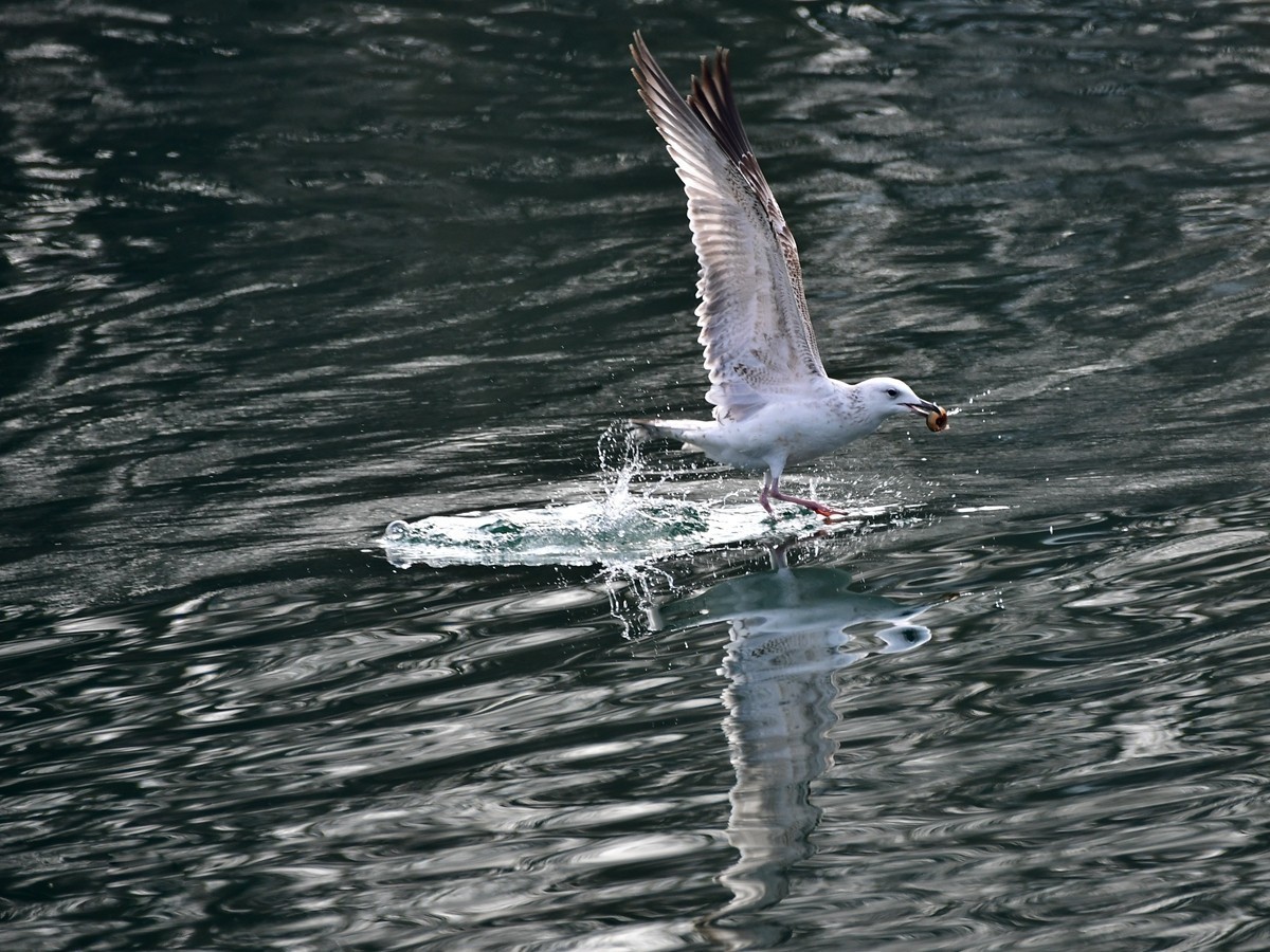 #版主坐堂#小五星空(中国)2022年4月精品荟萃