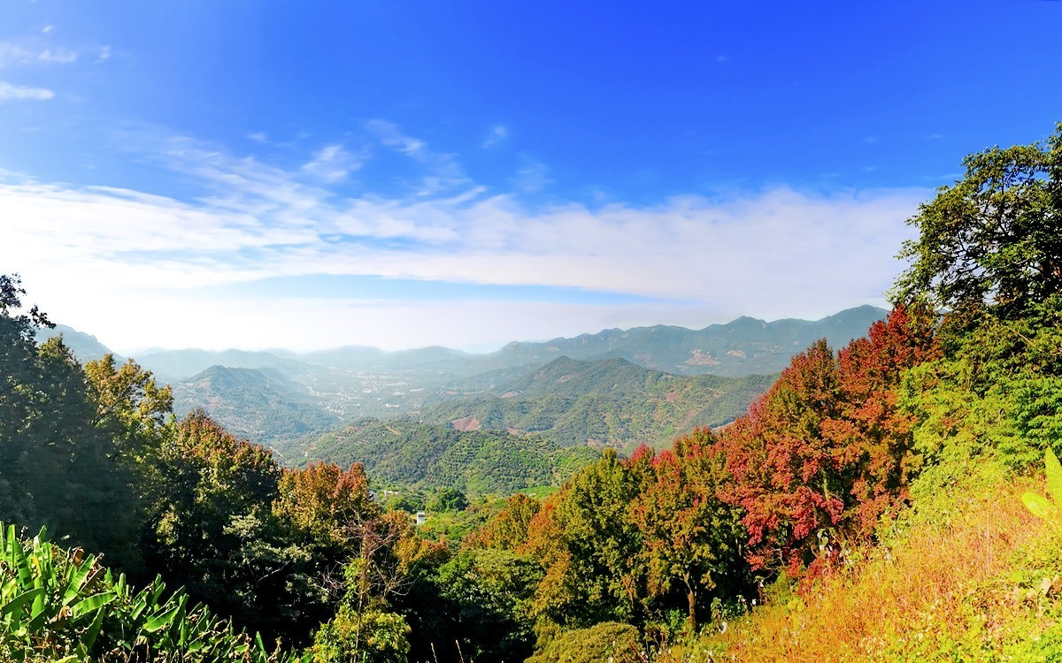 24028－石门红叶 [4]