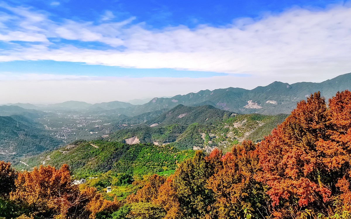 24028－石门红叶 [4]