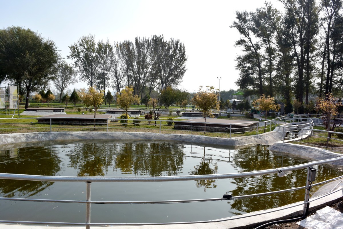 边走边拍（十一）