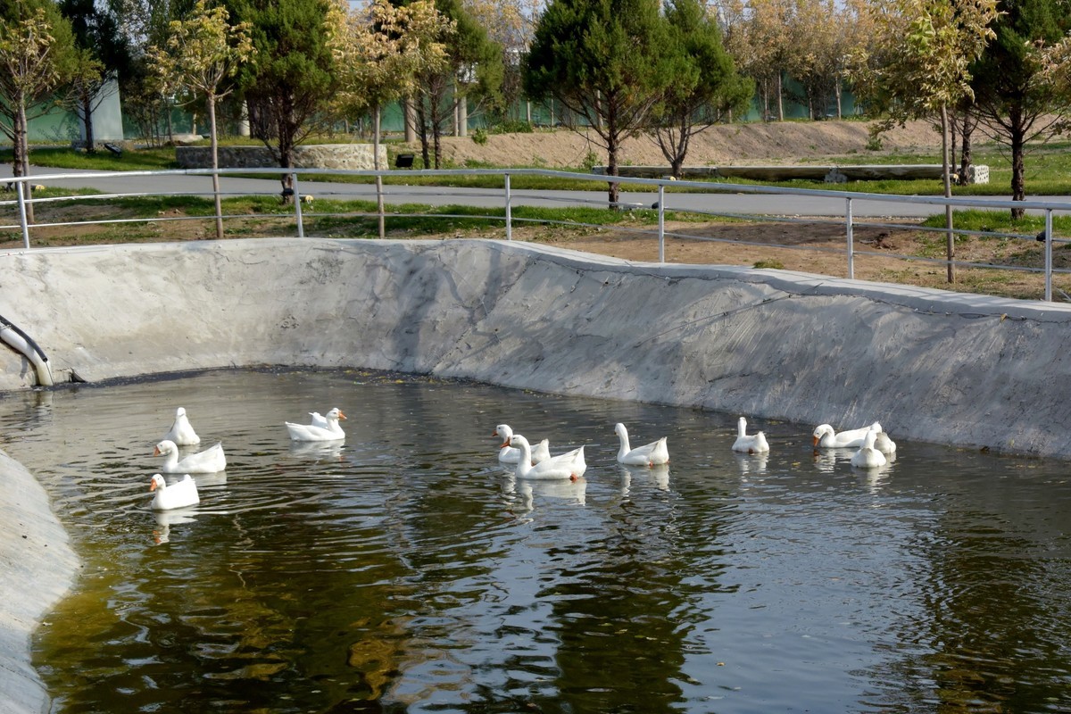 边走边拍（十一）