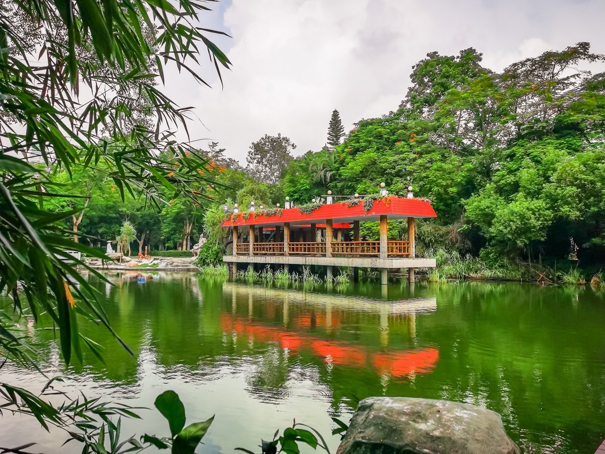 深圳东湖公园 ~ 掠影