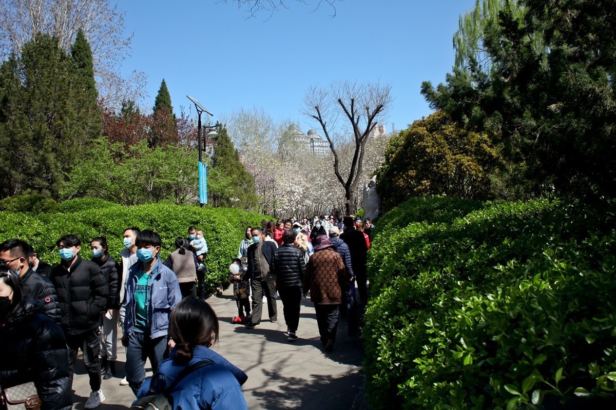 春天——公园景色