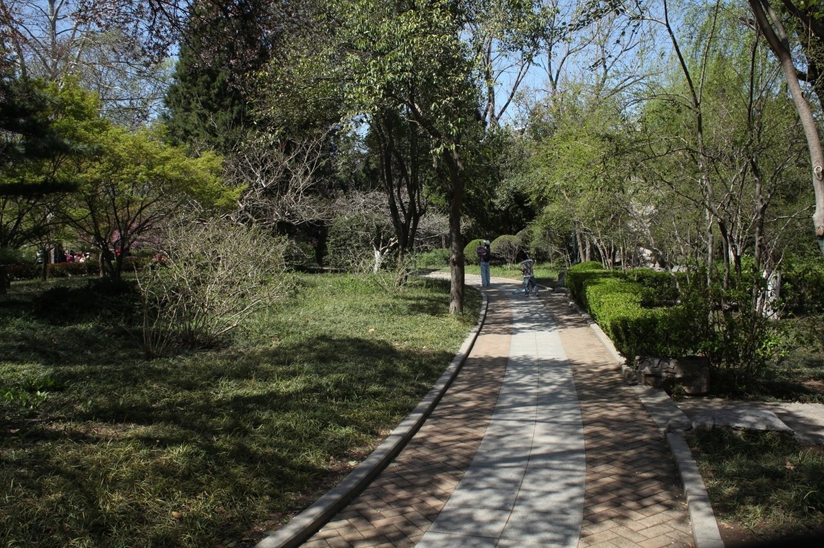 春天——公园景色