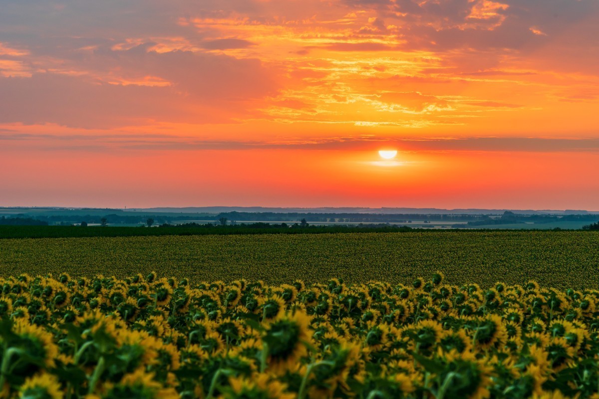 #版主坐堂#索尼大版星空(中国)2022年4月份优秀作品精选汇总