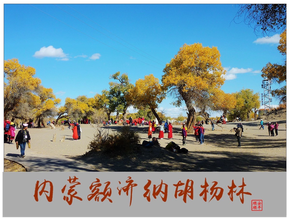 #留住美丽秋天#------内蒙额济纳胡杨林