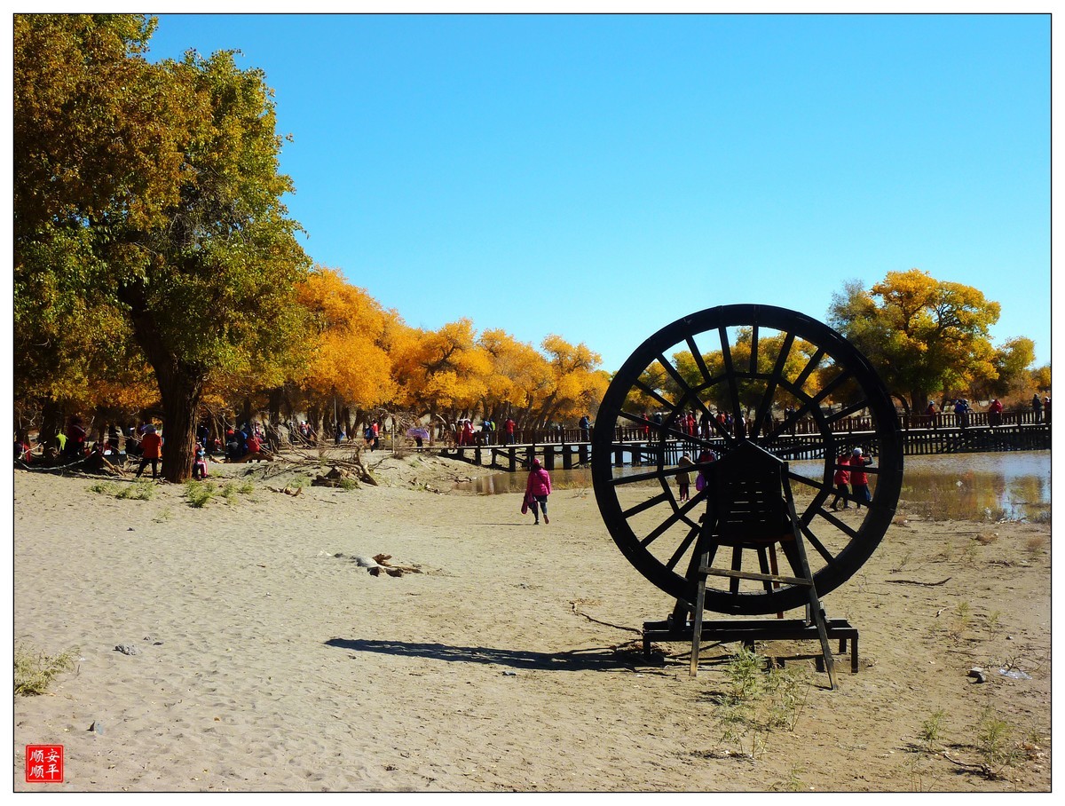 #留住美丽秋天#------内蒙额济纳胡杨林