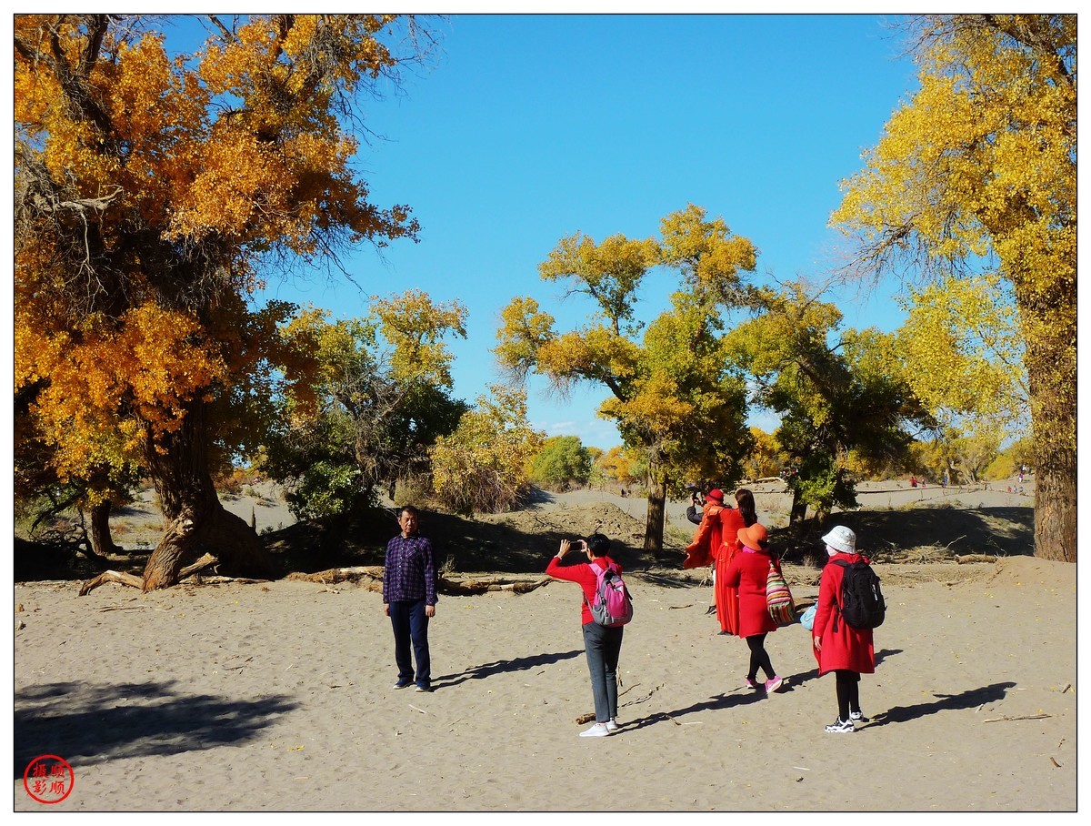 #留住美丽秋天#------内蒙额济纳胡杨林