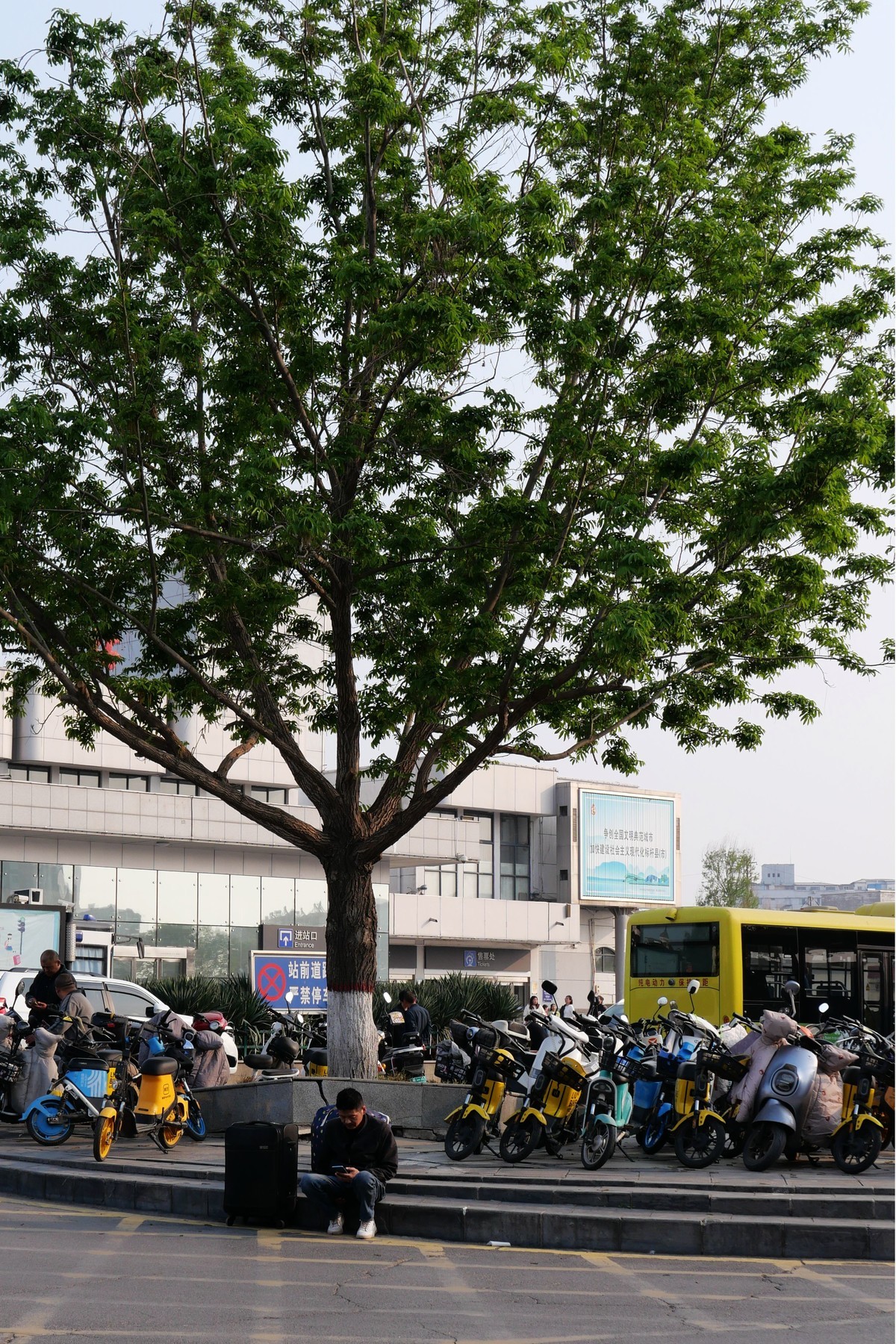 近期瞎拍的一些随手图