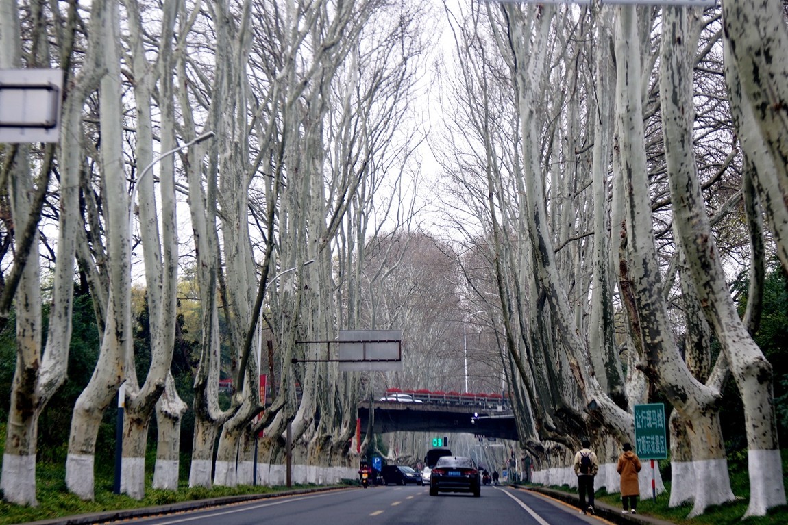 南京--拜谒中山陵【2】