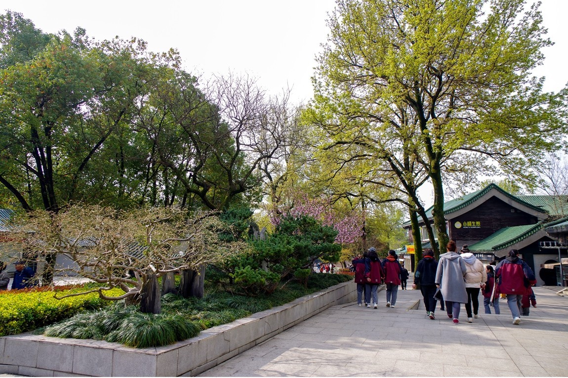 南京--拜谒中山陵【2】