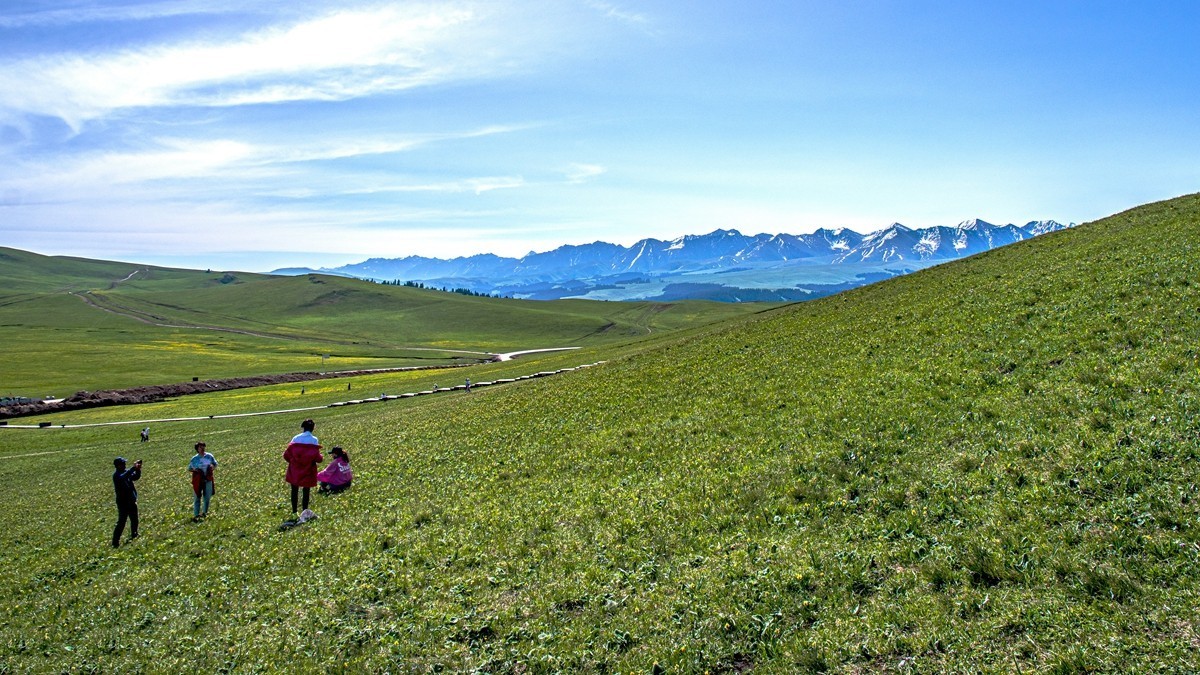 新疆行游--喀拉峻草原【5】