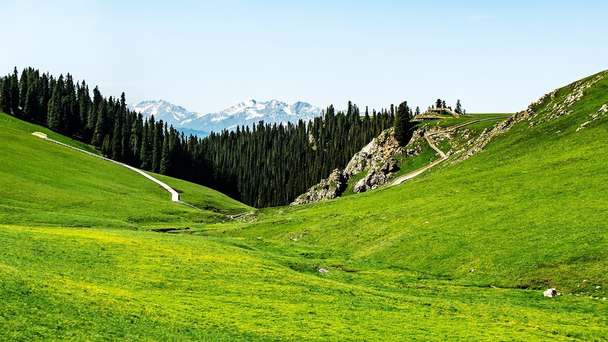 新疆行游--喀拉峻草原【5】