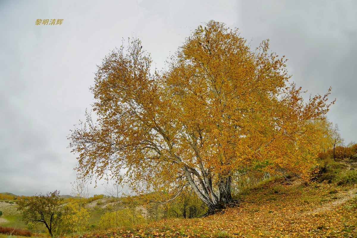 坝上行（012）：蟠龙沟—4