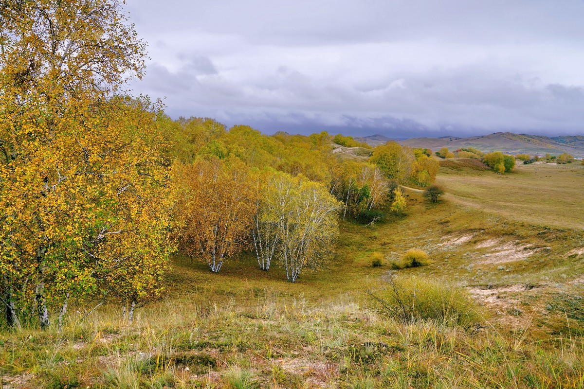 坝上行（012）：蟠龙沟—4