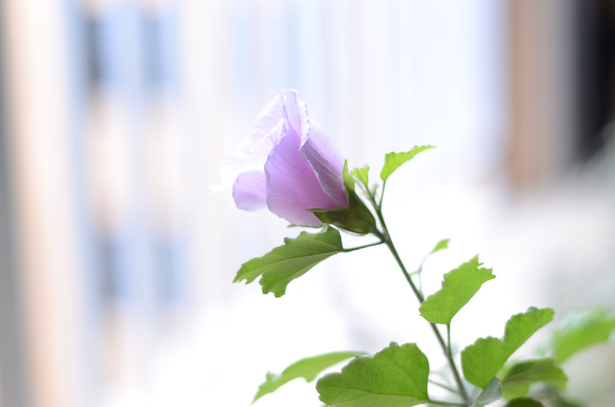 迷人的自然界色彩