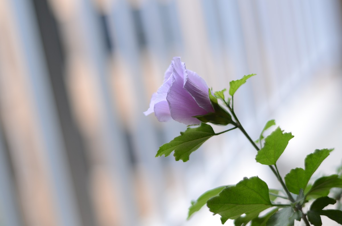 迷人的自然界色彩