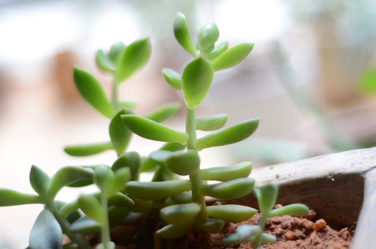 迷人的自然界色彩