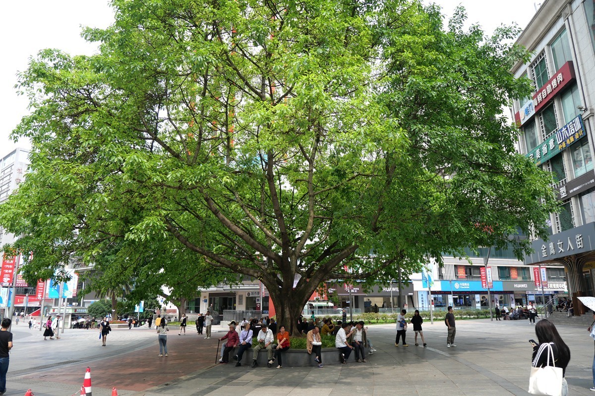 城市、街景、轻轨随拍 (二)