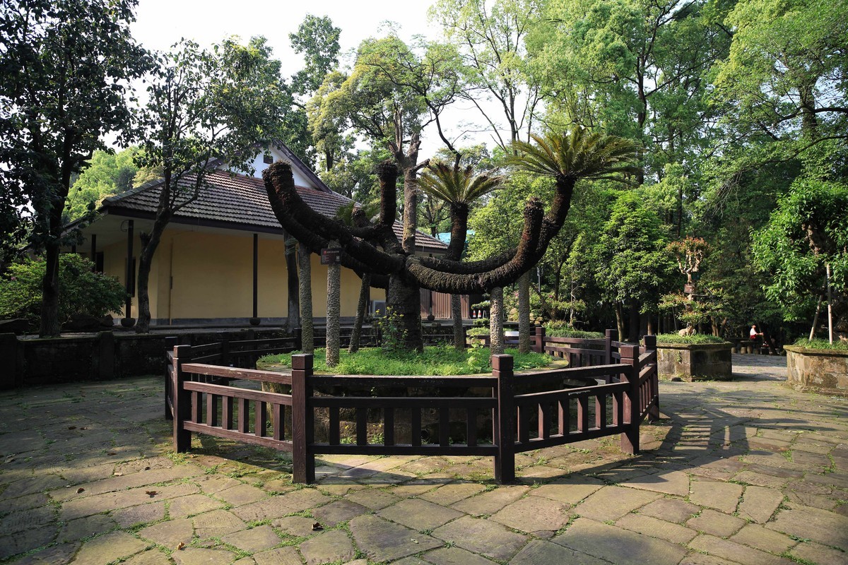 抗战时期国民政府南山官邸