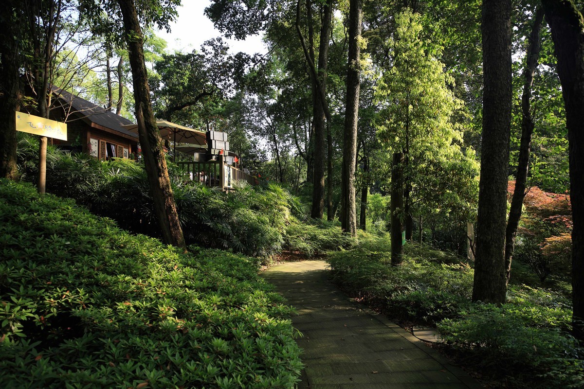 抗战时期国民政府南山官邸