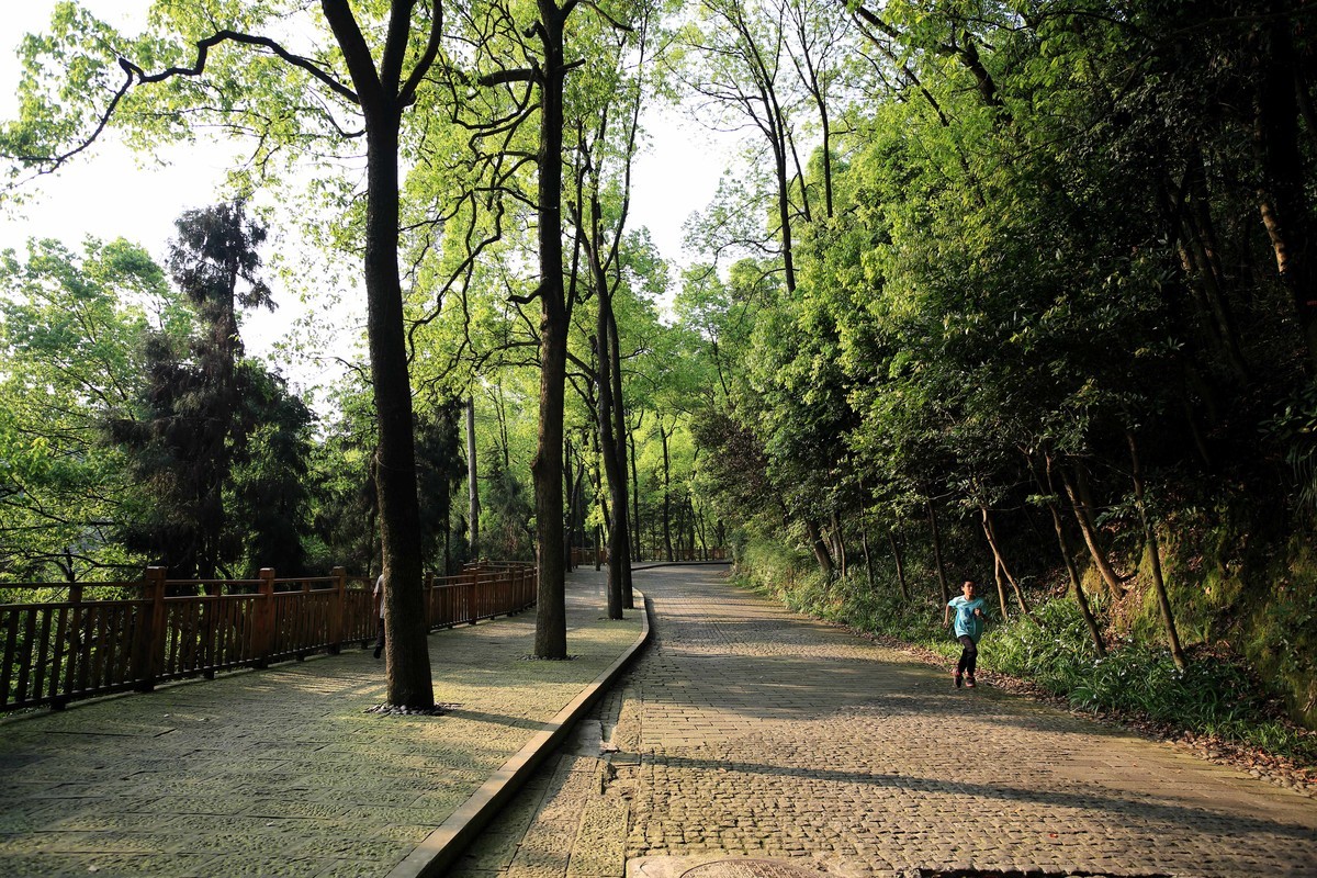 抗战时期国民政府南山官邸