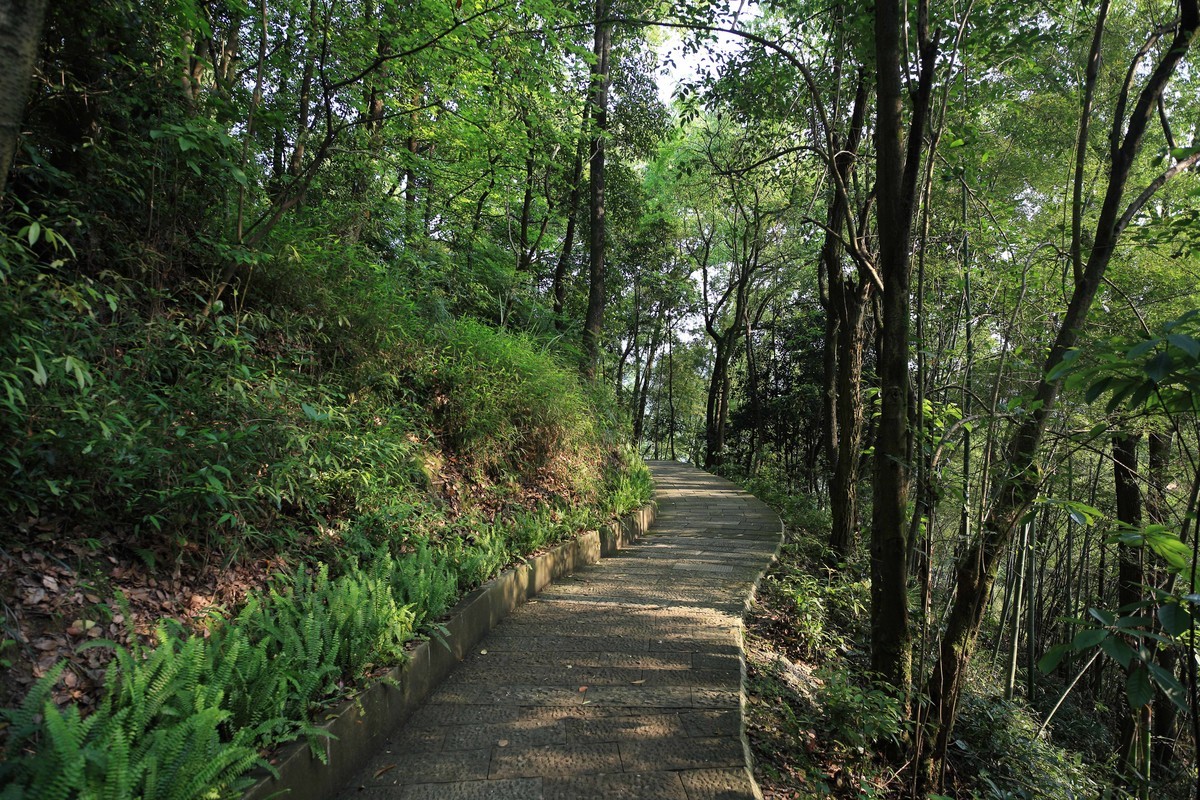 抗战时期国民政府南山官邸