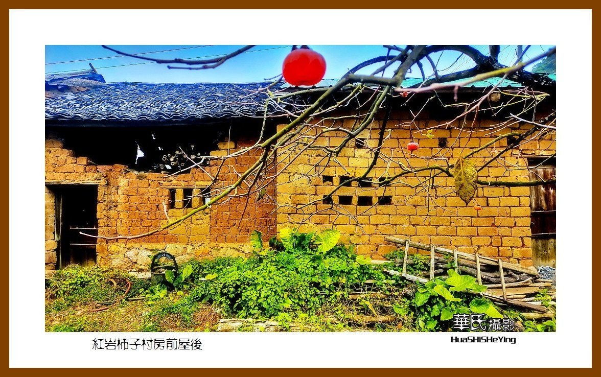 2021南行慢游（广西111）——红岩柿子村房前屋后（桂林市恭城县）