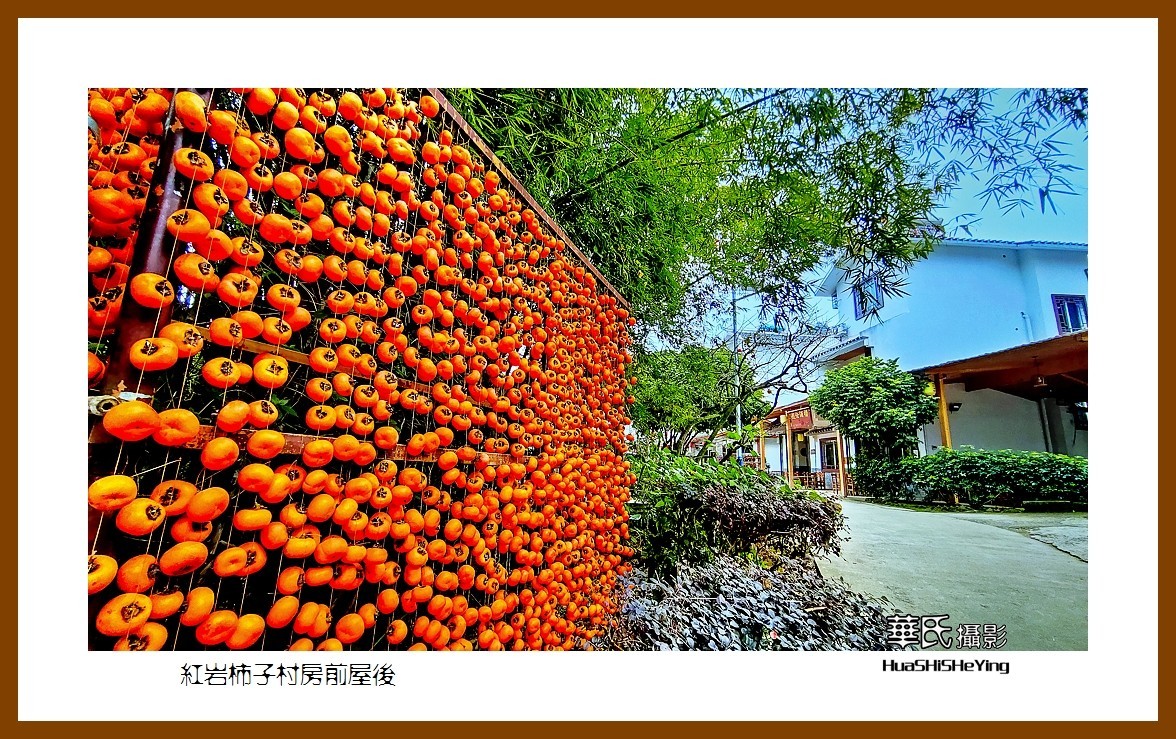 2021南行慢游（广西111）——红岩柿子村房前屋后（桂林市恭城县）