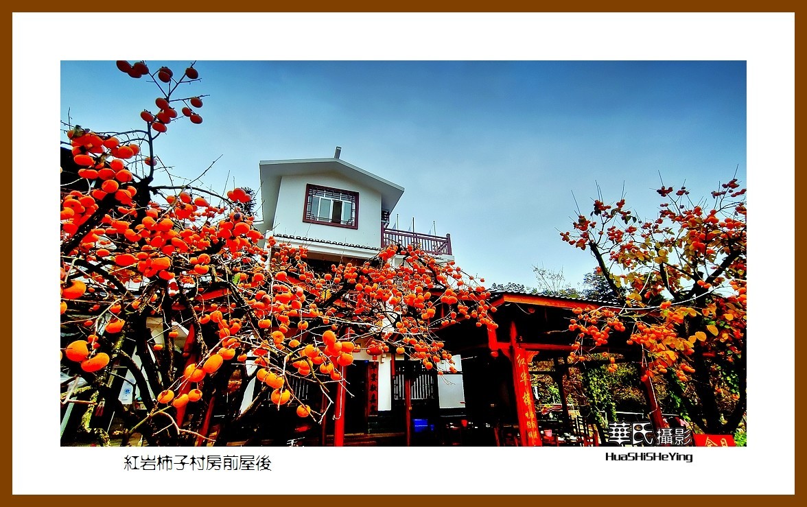 2021南行慢游（广西111）——红岩柿子村房前屋后（桂林市恭城县）