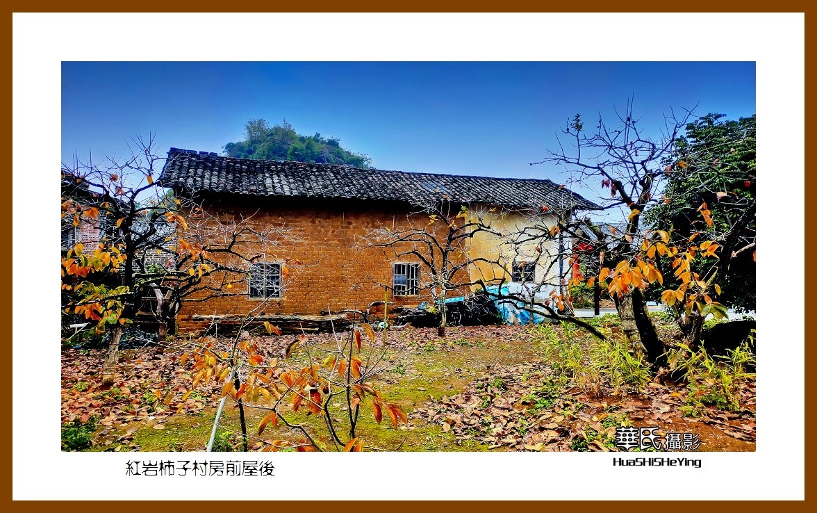 2021南行慢游（广西111）——红岩柿子村房前屋后（桂林市恭城县）