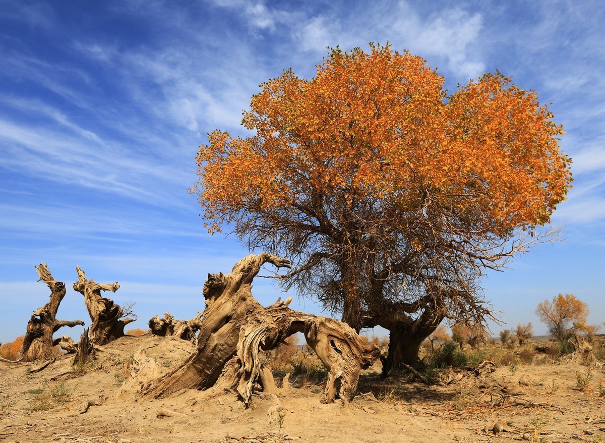 疑似进入了失落的世界（12）