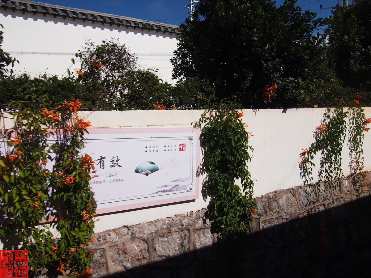 2023建水所见（21）