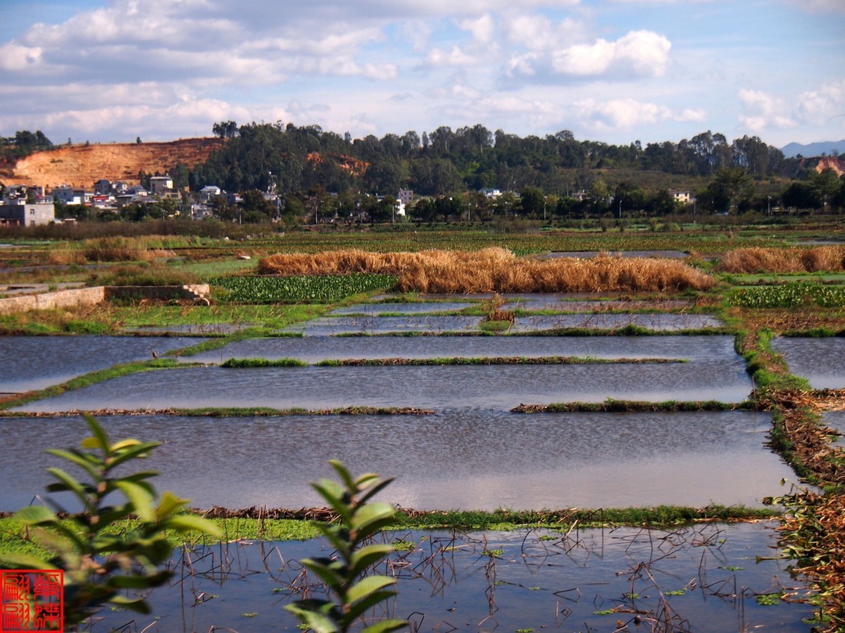 2023建水所见（21）