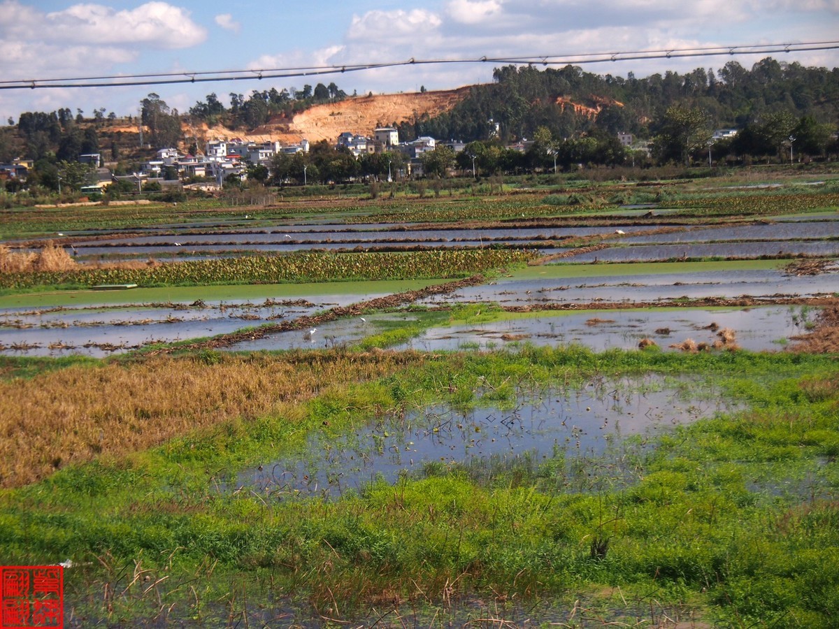 2023建水所见（21）