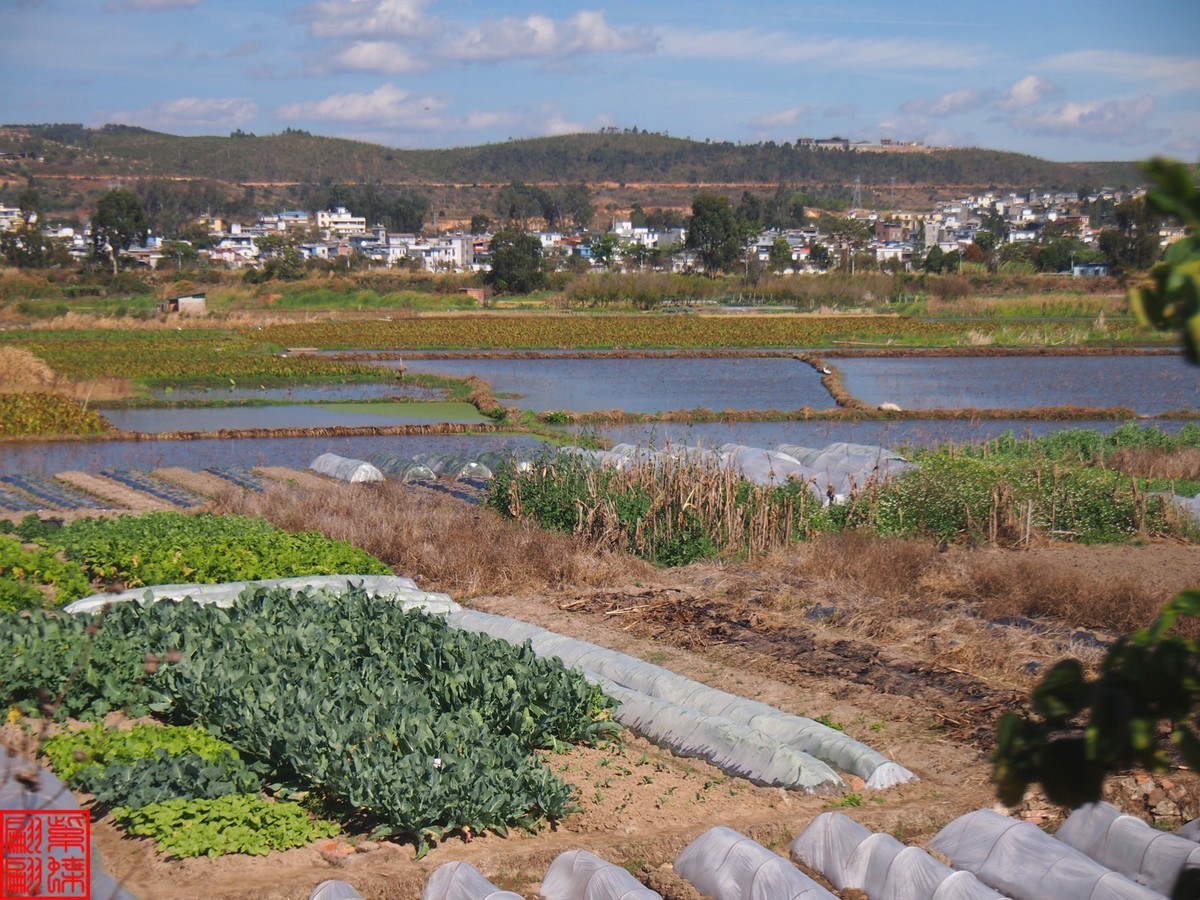2023建水所见（21）