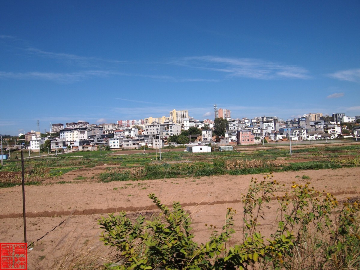 2023建水所见（21）